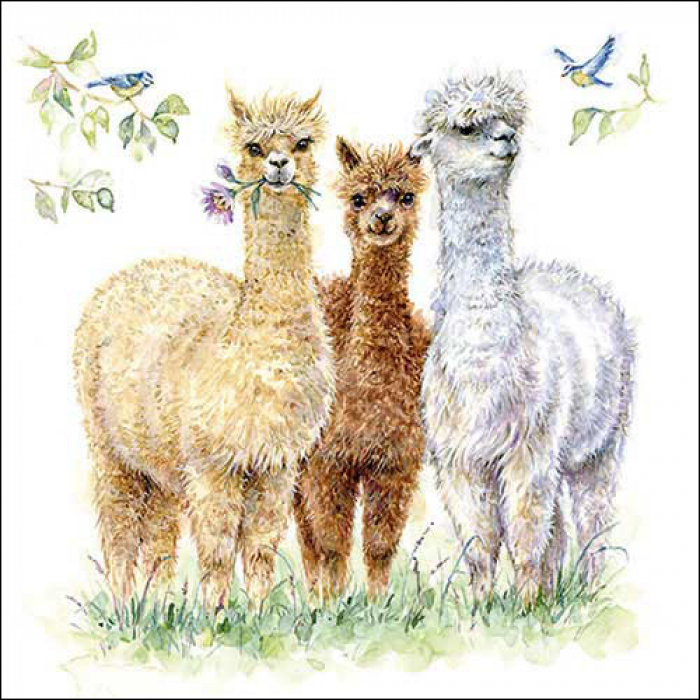 Serviette -Alpaca friends-.jpg