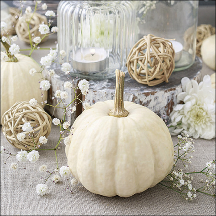 Serviette-Modern-Pumpkin.jpg