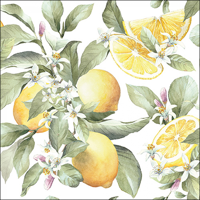 Serviette -Limoni-.jpg